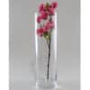 Cylindrical Clear Glass Vase