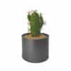 Artificial Cactus Plant with Pot and Stand